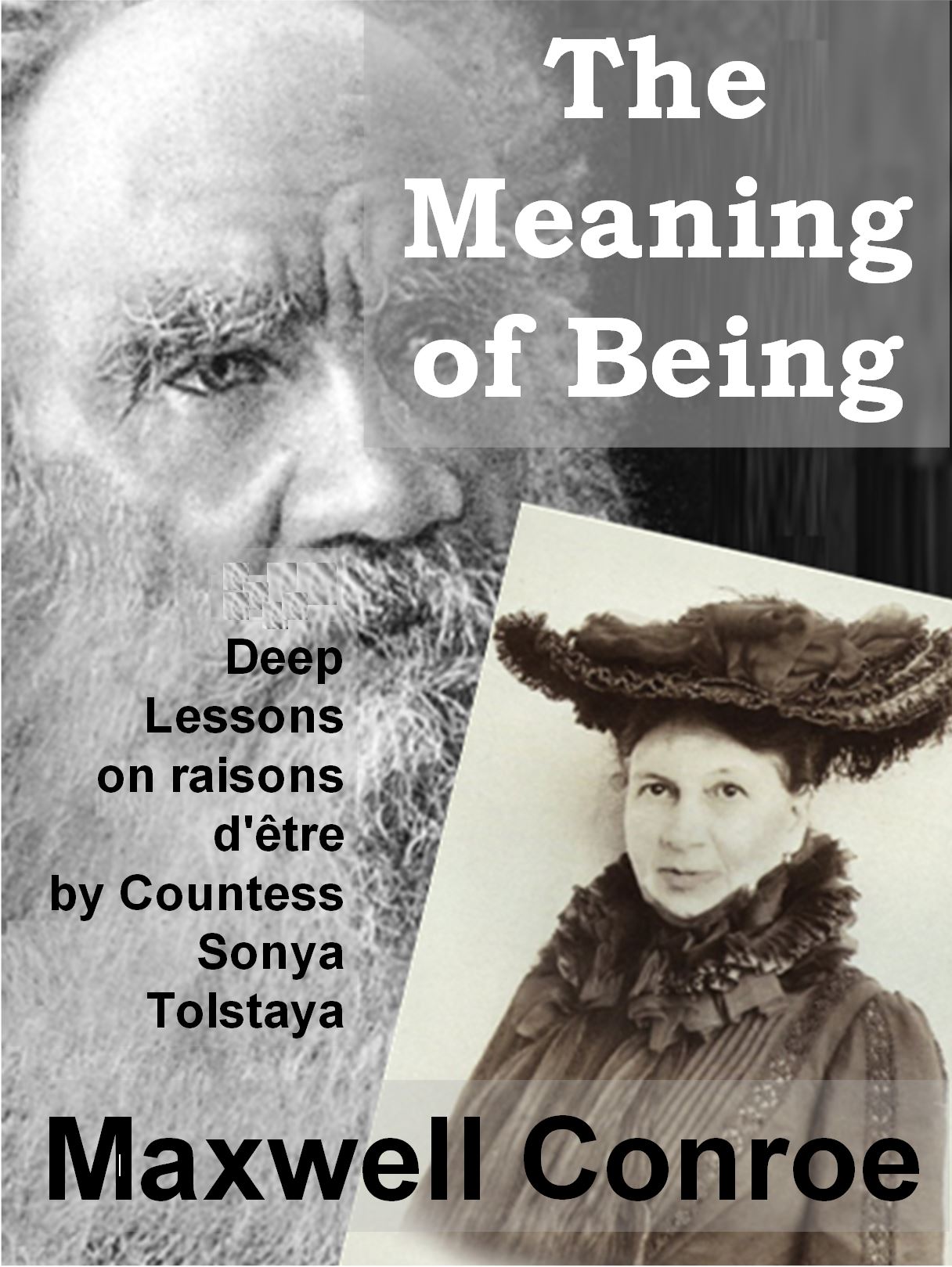 The Meaning of Being